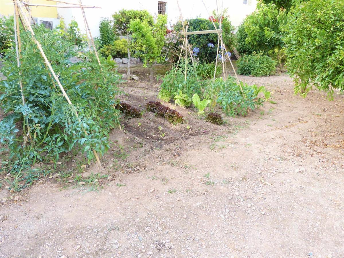 Hort De La Cinteta Villa Alcover Eksteriør bilde