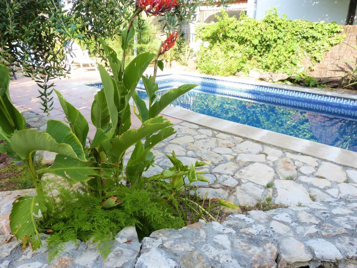 Hort De La Cinteta Villa Alcover Eksteriør bilde